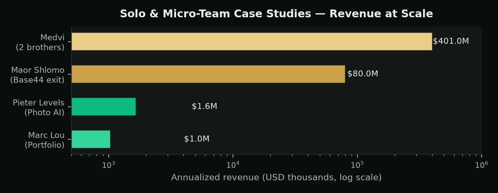 Solo founder case study revenue comparison